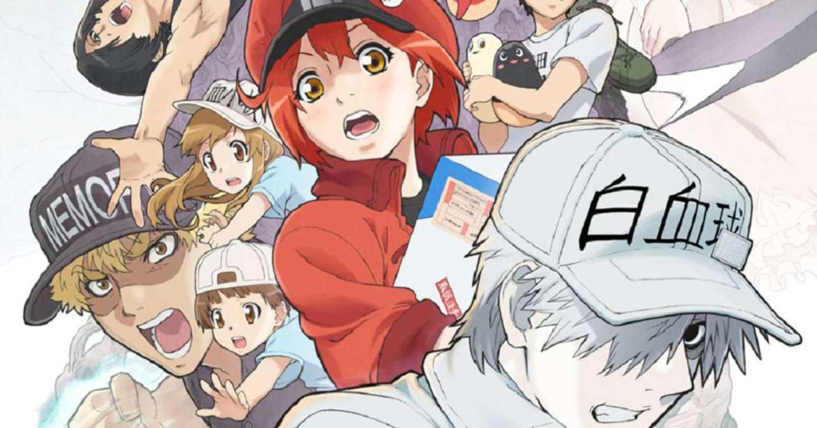 Cells at Work Season 2