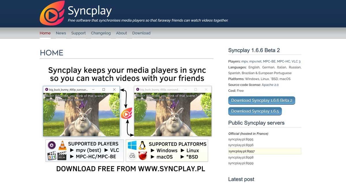 Rabbit Alternatives 09: Syncplay