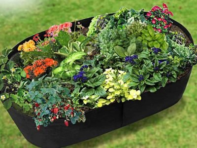 Eco Friendly Planter Bags for Home Planting