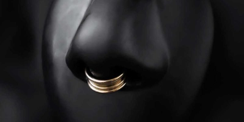 Affordable Seam Nose Ring