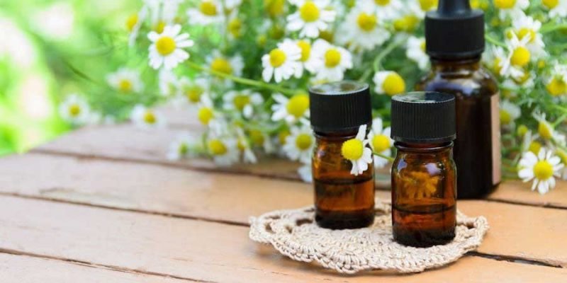 How to Select the Best Essential Oils for Your Family