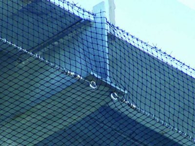 Install Anti-Bird Netting