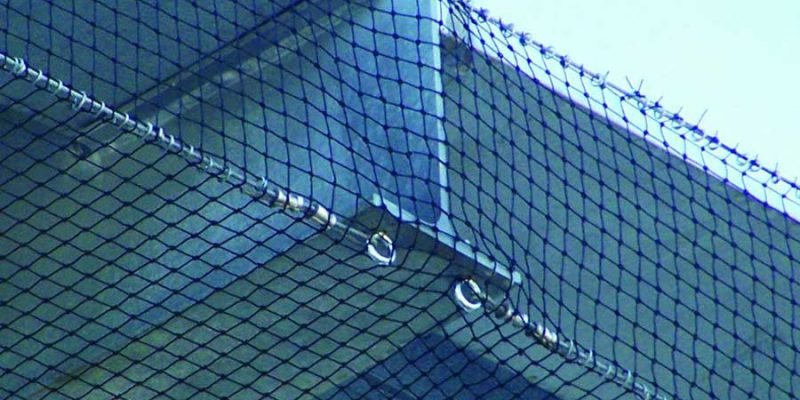 Install Anti-Bird Netting