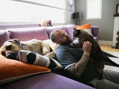 Conveniences of Apartment If You Live With Your Pet