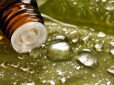 Surprising Uses for Tea Tree Oil