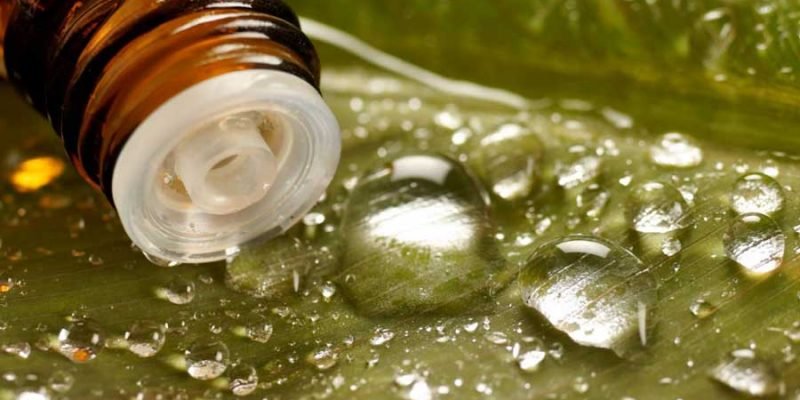 Surprising Uses for Tea Tree Oil