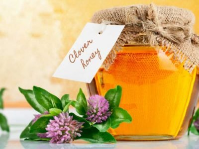 What Is Clover Honey