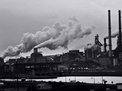 Take Legal Action Against a Business or Organization That’s Polluting the Environment
