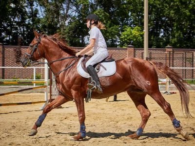 The main horse riding