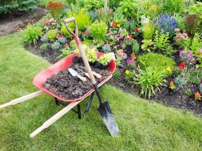 Landscaping Tips For People With Back Pain