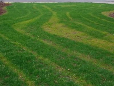 How-Do-I-Know-Which-Fertilizer-My-Lawn-Needs