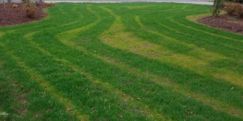 How-Do-I-Know-Which-Fertilizer-My-Lawn-Needs