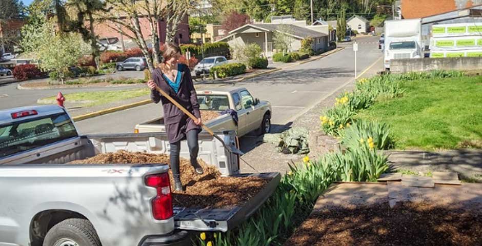 How-To-Prevent-Weeds-From-Growing