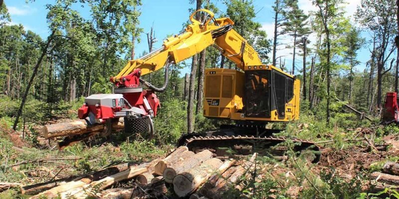 Why Invest in a Feller Buncher? The Benefits of Using this Versatile Logging Machine