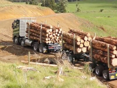 How to Choose a Reliable Firewood Delivery Service: Key Considerations