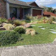 4 Top Reasons to Add Indigenous Plants to Your Garden this Summer