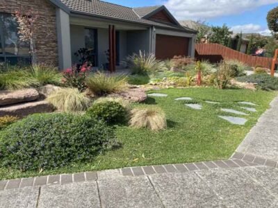 4 Top Reasons to Add Indigenous Plants to Your Garden this Summer