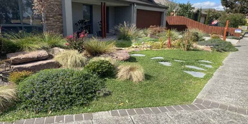 4 Top Reasons to Add Indigenous Plants to Your Garden this Summer