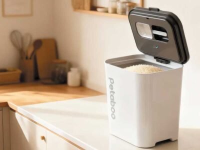 How to Keep Food Fresh Longer Without Preservatives