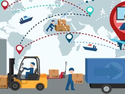 What Transport Data Reveals About Market Behavior